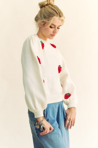 Davi & Dani Crochet Strawberry Round Neck Sweater - 1985 the VAULT Boutique