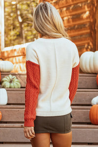 Color Block Round Neck Long Sleeve Sweater - 1985 the VAULT Boutique