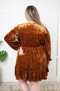 Magnificent Muse Velvet Dress - 1985 the VAULT Boutique