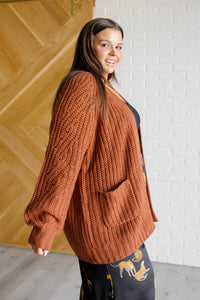 Maybe Monday Cardigan in Chestnut - 1985 the VAULT Boutique