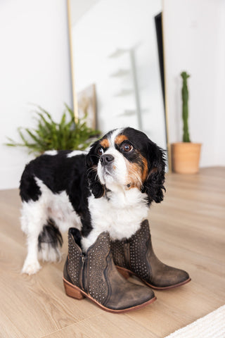 Nailed It Ankle Boot in Black - 1985 the VAULT Boutique