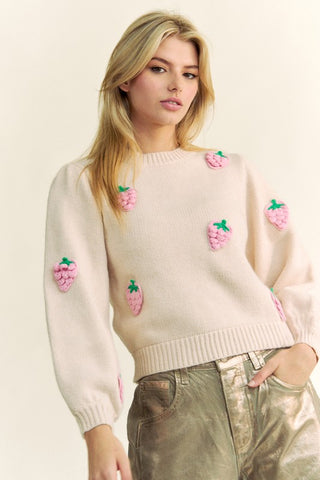 Davi & Dani Crochet Strawberry Round Neck Sweater - 1985 the VAULT Boutique