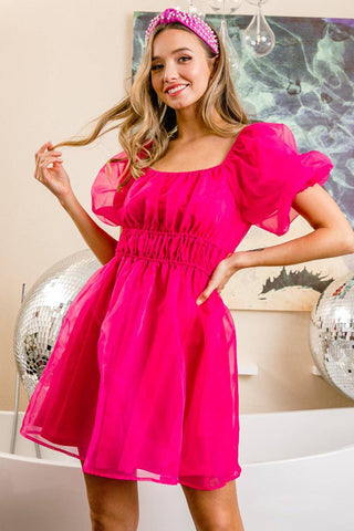 BiBi Puff Sleeve Organza Mini Dress - 1985 the VAULT Boutique